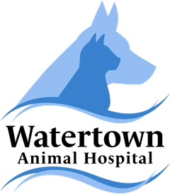 Watertown Animal Hospital logo